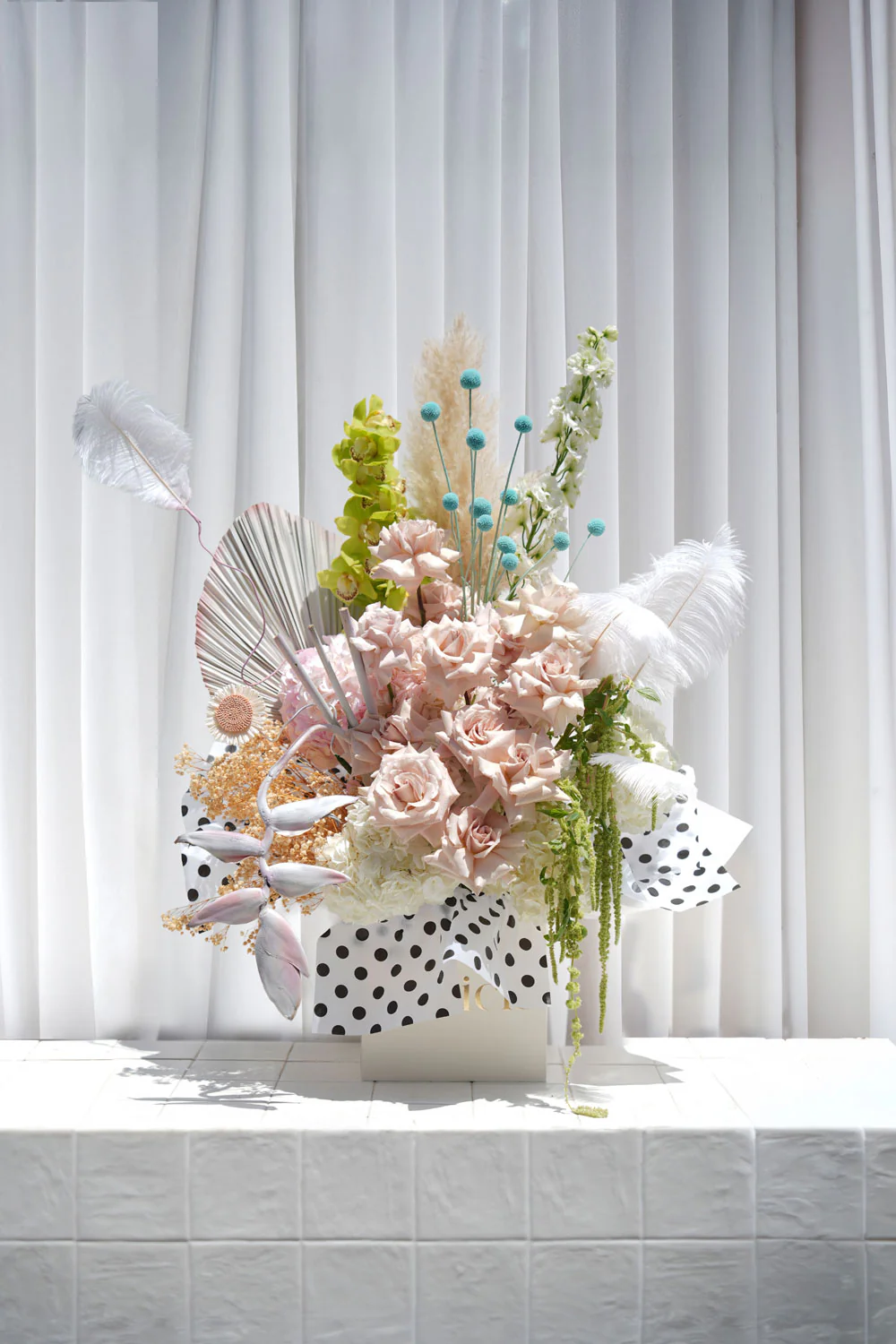 Dotty Daisy